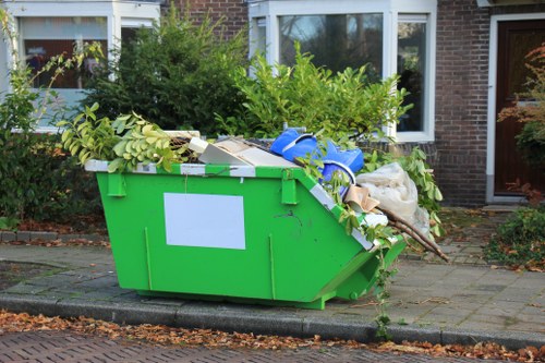 Environmental remediation efforts during site clearance